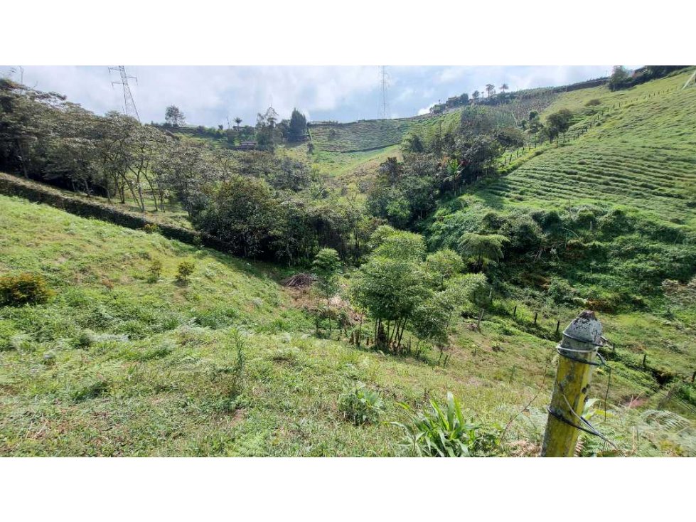 Finca de Aguacate Hass y plátano en Marinilla