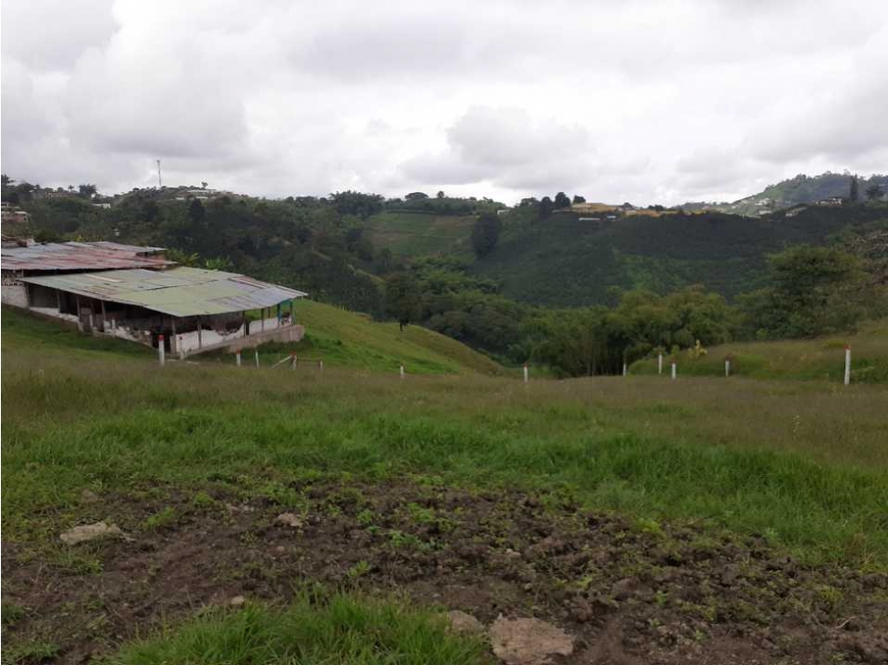 Finca en venta en Pereira vía a Armenia / COD: 5510321