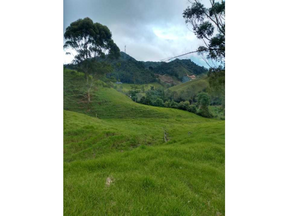 Finca en venta la Ceja Antioquia 14 HA