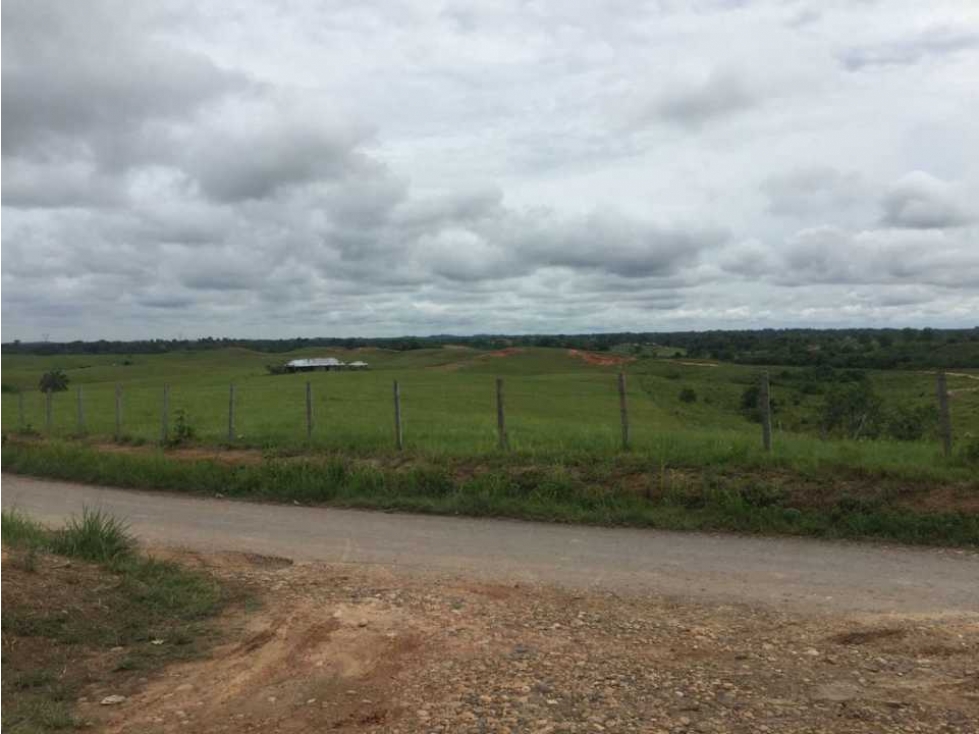 Finca ganadera en venta Barrancabermeja