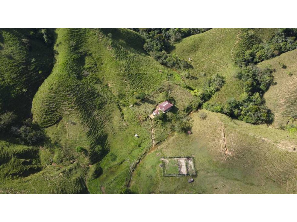 Finca ganadera productiva en san luis ant vereda La Josefina