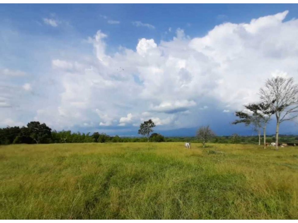 FINCA GANADERA Y PRODUCTIVA GRANDE 4800