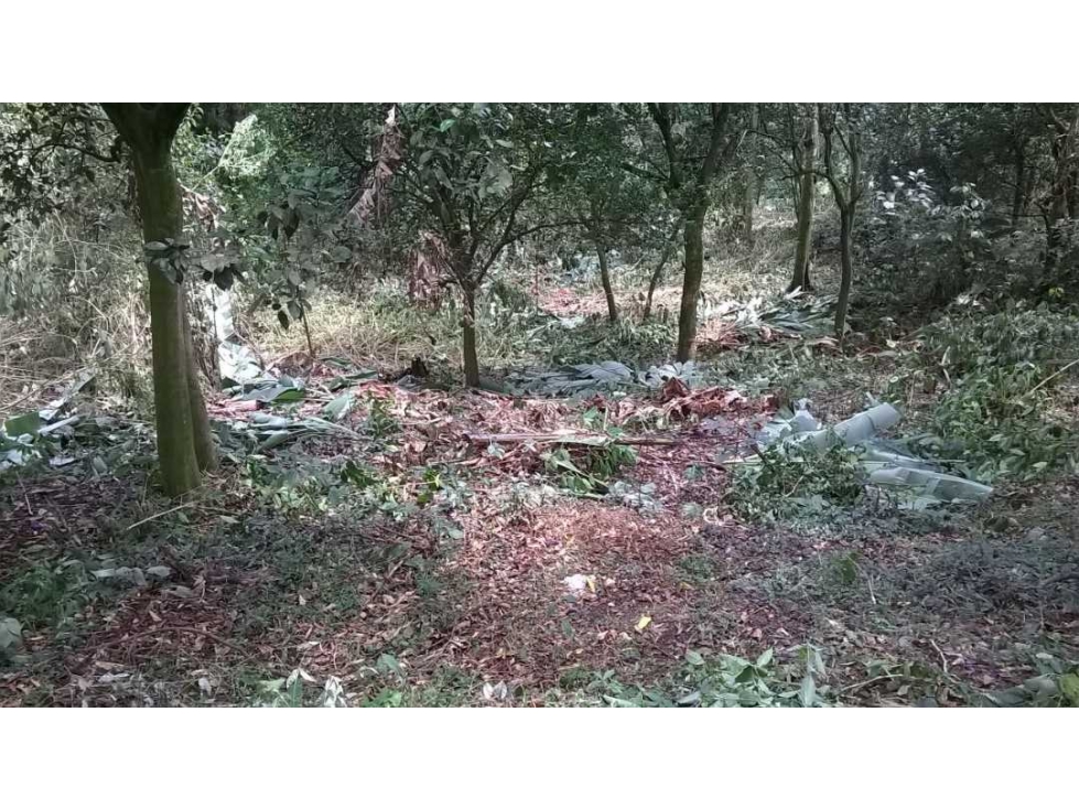 Finca Grande Con Árboles Frutales En La Mesa Cundi