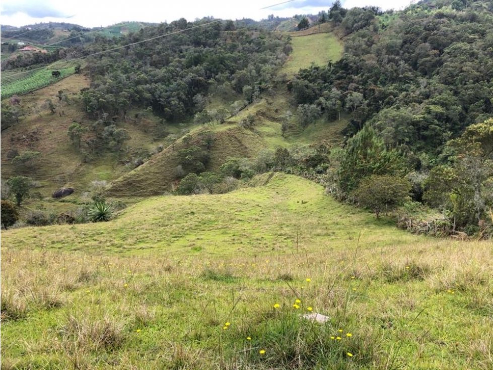 Finca para proyecto agrícola, porcicola, piscicola, 11 hectáreas