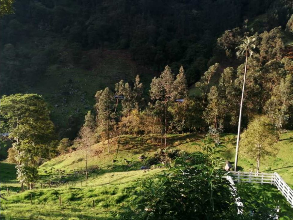 Finca Para Proyecto Sobre La Autopista