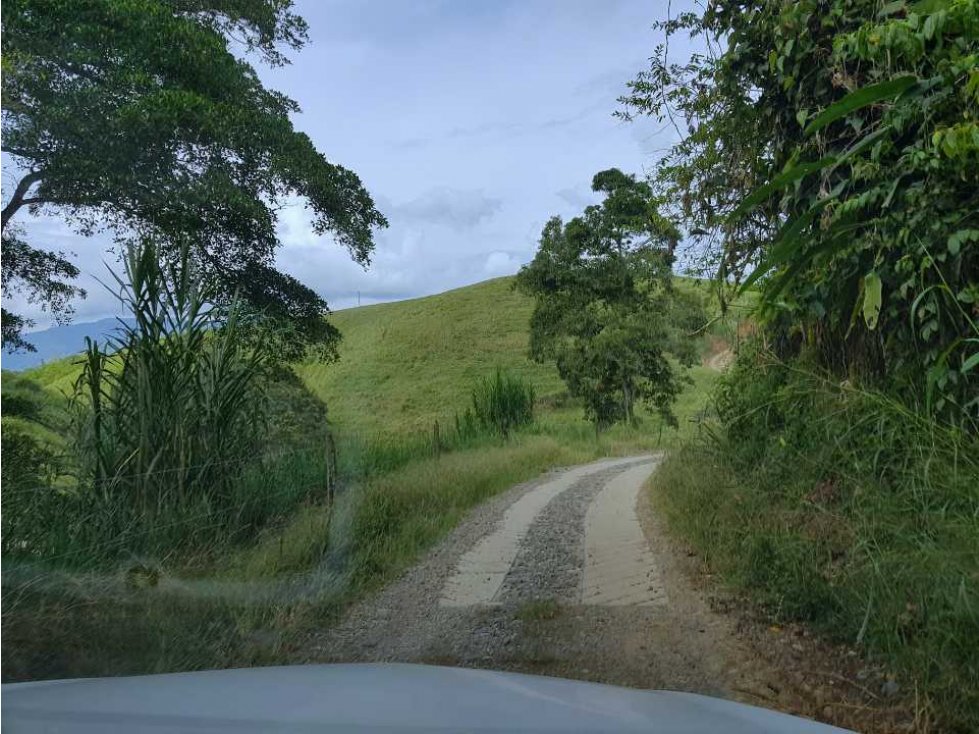 FINCA TECNIFICADA GANADERA CERCA A QUIMBAYA