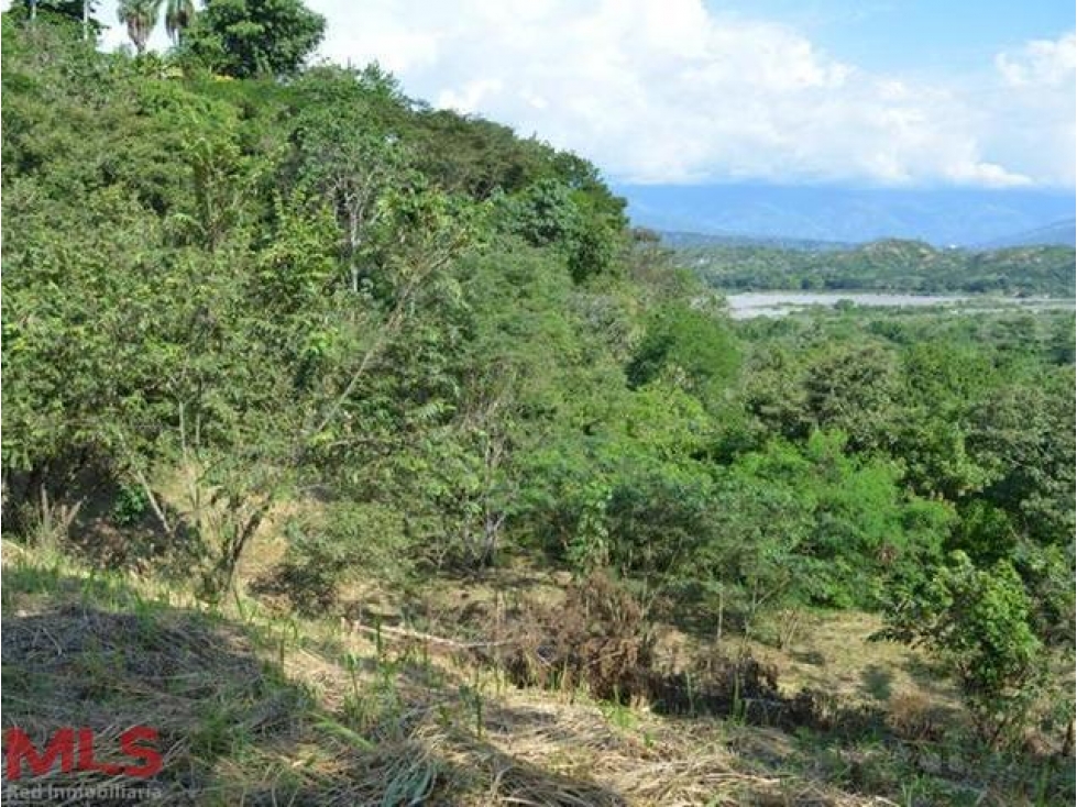 HERMOSO LOTE EN SANTA FE DE ANTIOQUIA(MLS#238770)