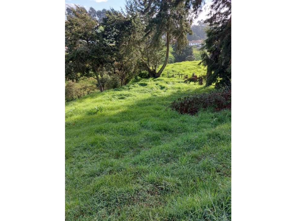 HERMOSO LOTE PARA LA VENTA EN SAN FÉLIX BELLO DE 6040 MTS 365 MILLONES