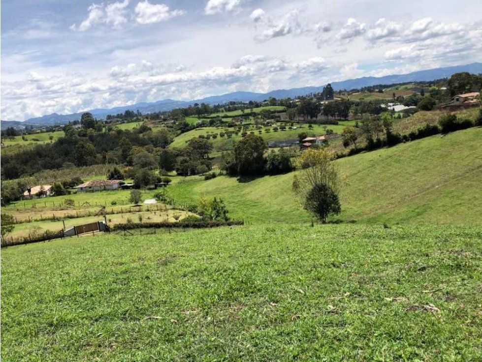 HERMOSO LOTE EN VENTA EN LA VERDEDA LA PALMA CARMEN DE VÍBORAL ANT.