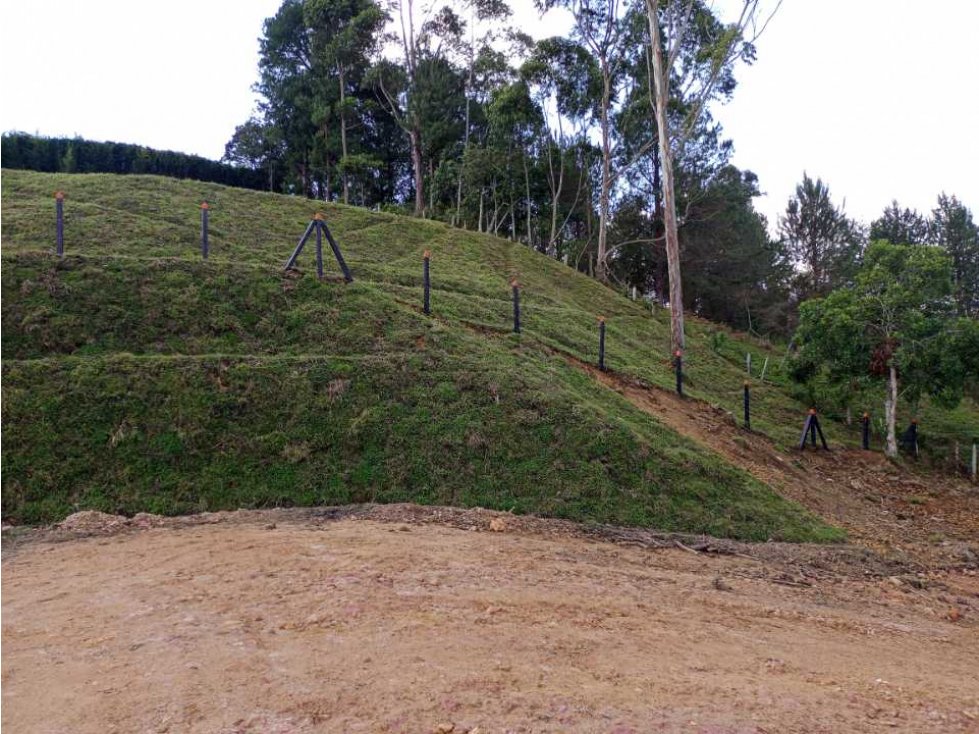 HERMOSOS LOTES EN VENTA EN LA VEREDA QUIRAMA DEL CARMEN DE VÍBORAL ANT