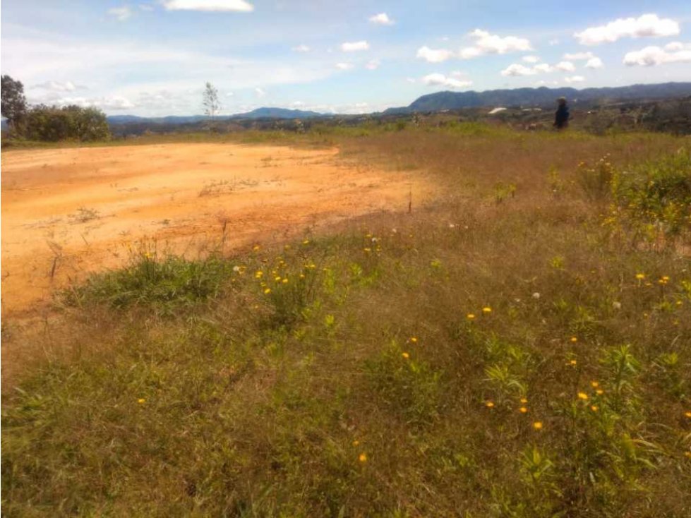 LINDO LOTE DE OPORTUNIDAD EN LA VEREDA YOLOMBAL DE  GUARNE ANTIOQUIA