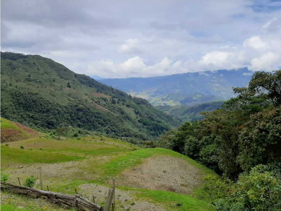 Lote Altos de La Catedral