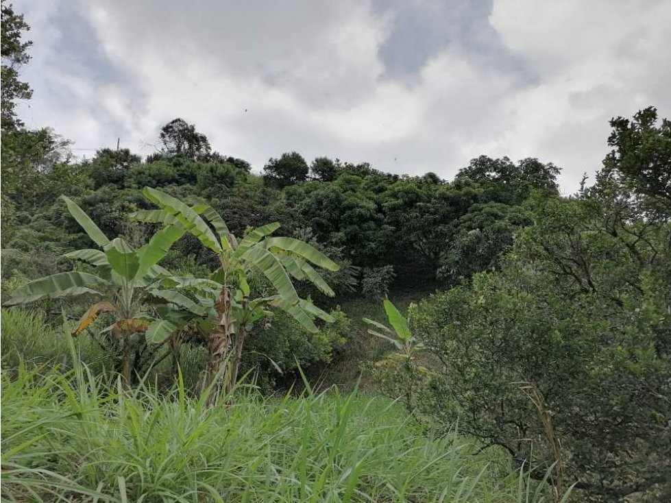 Lote Con Árboles Frutales En La Mesa Cundi