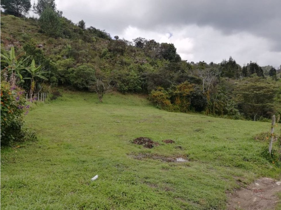 Lote en Venta - Guarne, Antioquia