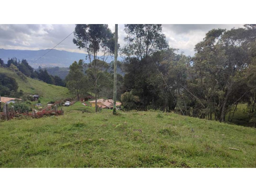 LOTE EN GUARNE MULTIPROPÓSITO 70 MIL MTS 2.450 MILLONES