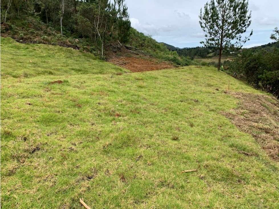 Venta Lote Loma Del Escobero Alto De Palmas