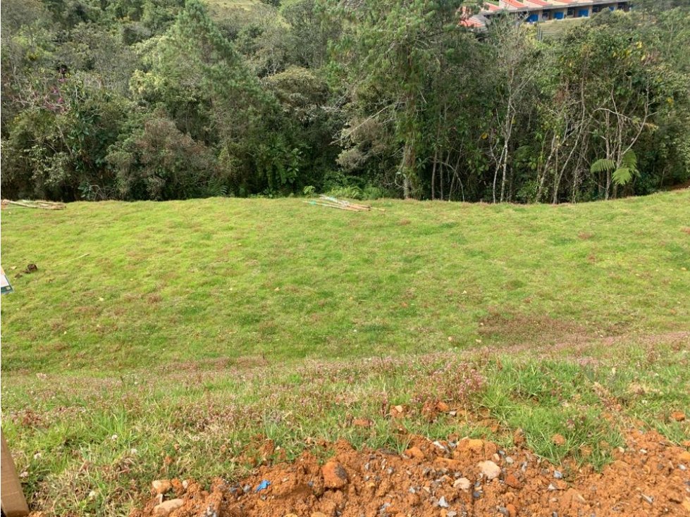 Venta Lote En La Loma Del Escobero Envigado