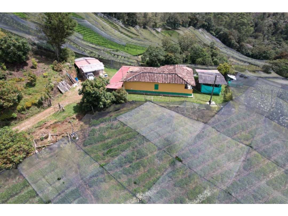 Lote en Retiro 3 hectareas