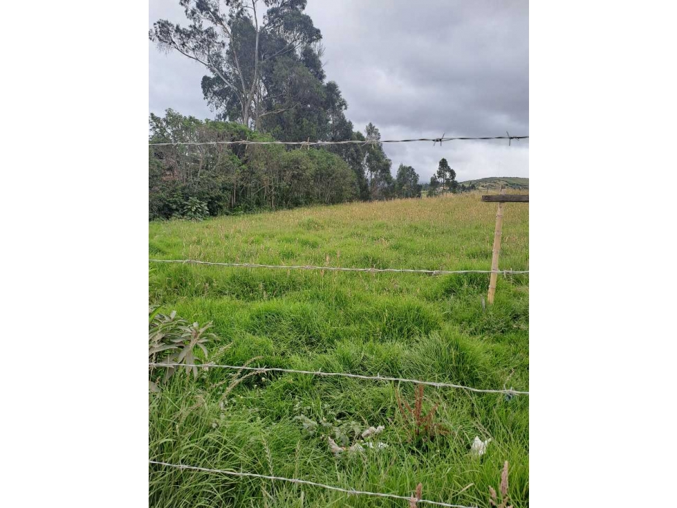 Lote en venta en Catambuco con norma urbanística para bodegas en Pasto