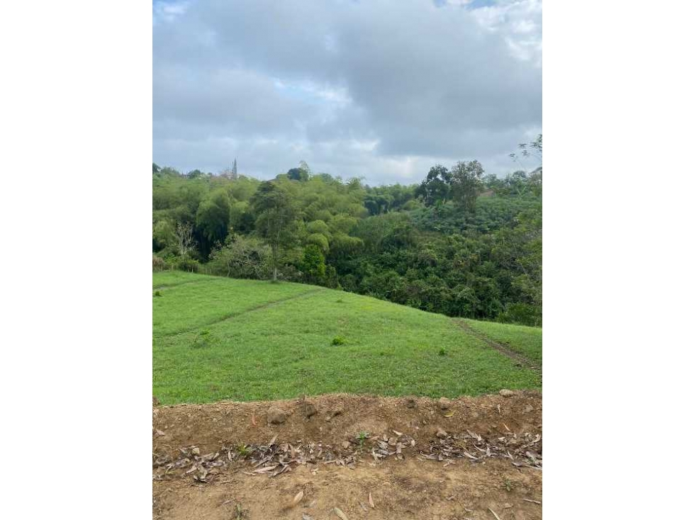 Lote en venta en vereda la Betulia en Pereira 6050763