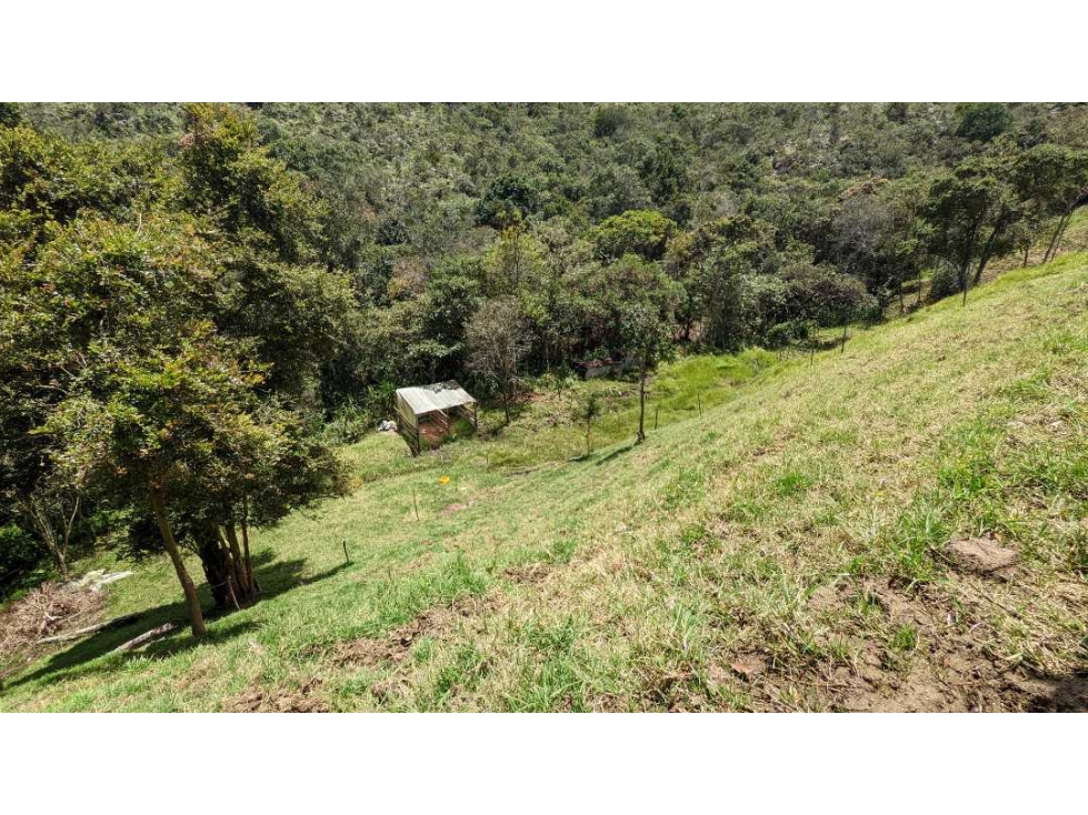 Lote En Venta Guarne Vereda La Mejía  800 m²