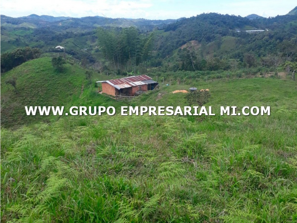 LOTE EN VENTA - SECTOR VEREDA LAS ANIMAS, SANTO DOMINGO COD: 27279