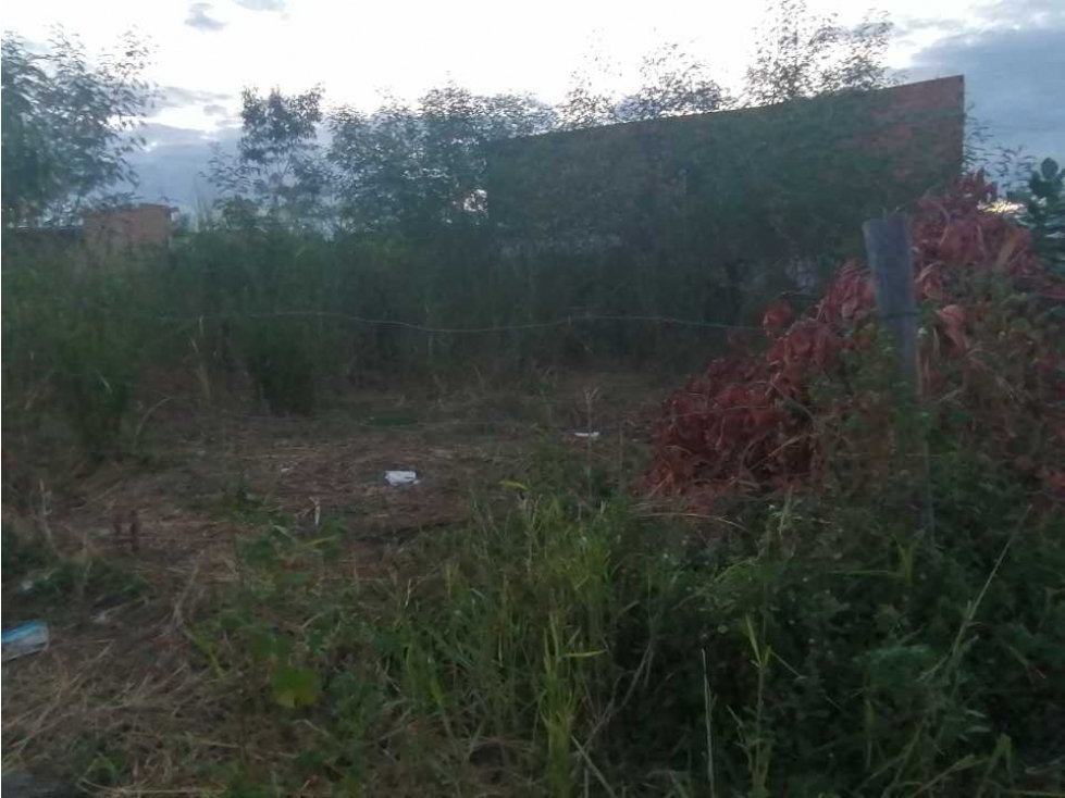 Se vende Lote Esquinero Bbb- Flandes Tolima