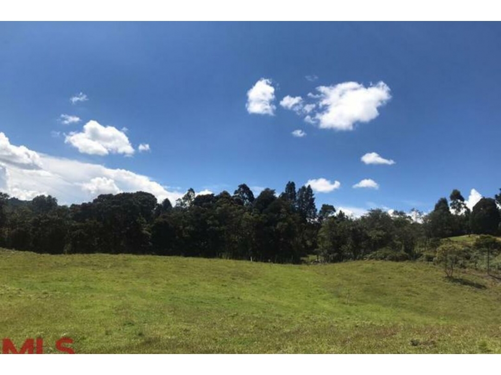 Lote Residencial en venta en V. Pantanillo (envigado), Envigado