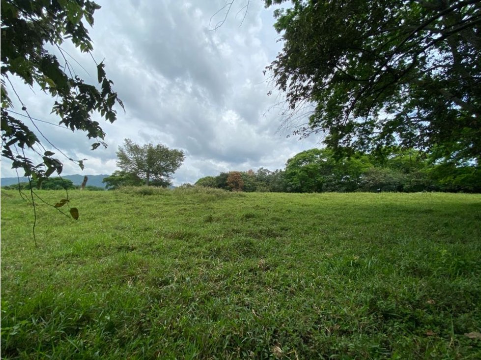 Lote Terreno 30.000m2 SAN LUIS Tolima