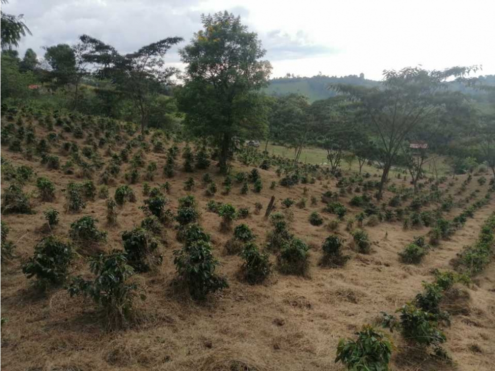 LOTE EN VENTA POPAYAN COLOMBIA CLARETE ALTO