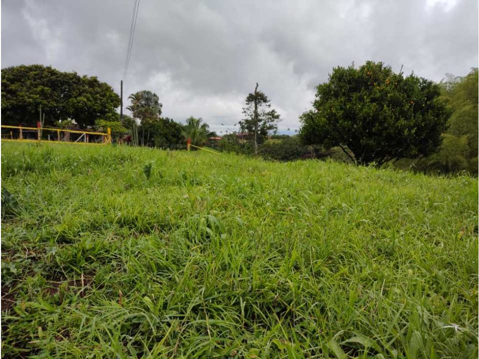 Lotes Campestres en el Eje Cafetero