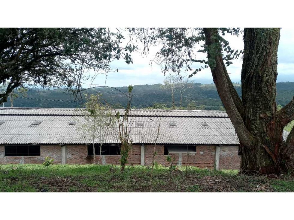 Propiedad con vista Panorámica , quebrada y bosque nativo