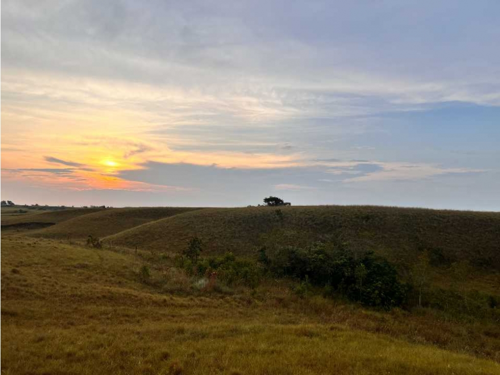 RENTA POR DIAS ESPECTACULAR FINCA EN  PUERTO LOPEZ LLANOS ORIENTALES