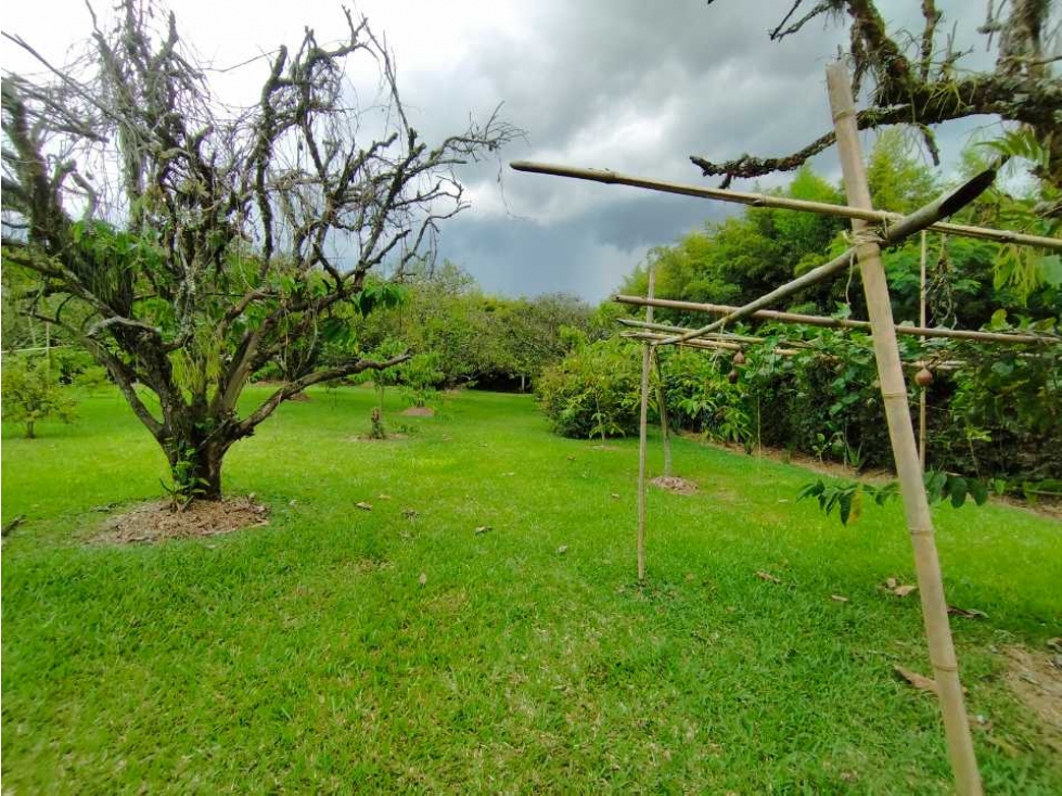 RENTO LOTE CAMPESTRE PARA DESARROLLO COMERCIAL EN CERRITOS, PEREIRA.