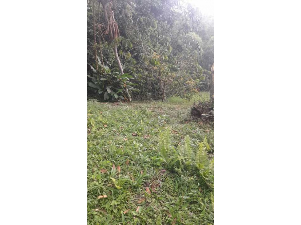 Se vende finca de 22 plazas externa ubicada en el palmar Dagua