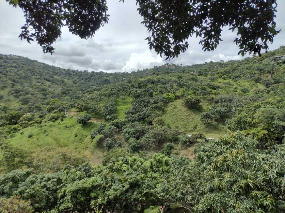 Se vende finca en Anapoima