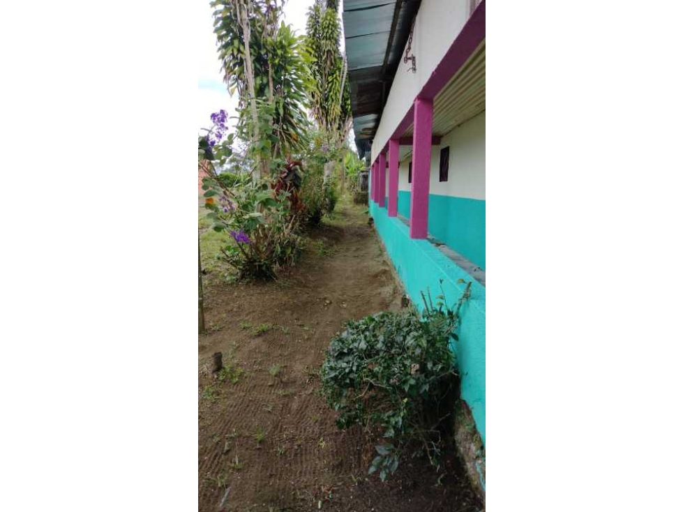 SE VENDE FINCA EN CIRCASIA QUINDIO