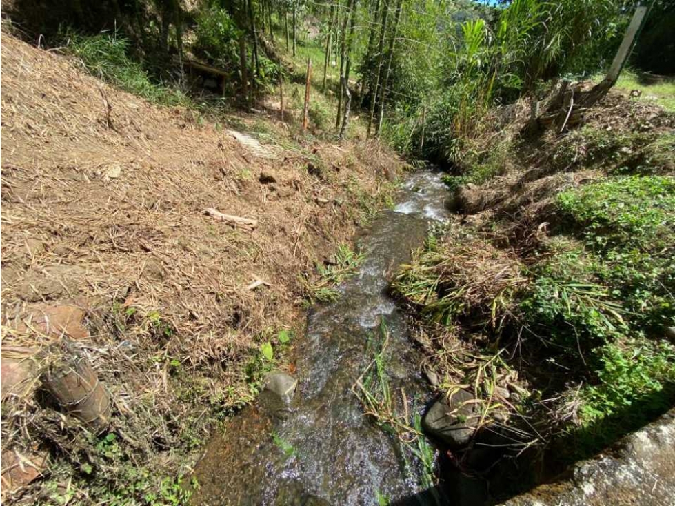 Se vende finca en sabletas lobo -dagua 23 plazas . Tierra productiva