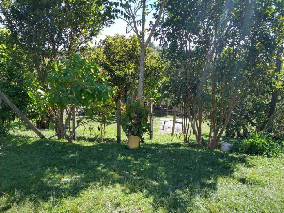 SE VENDE FINCA EN EL PEÑOL VEREDA PRIMAVERA