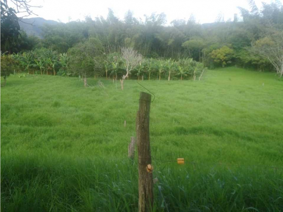 Se vende finca en el sector de Guaduas Cundinamarca