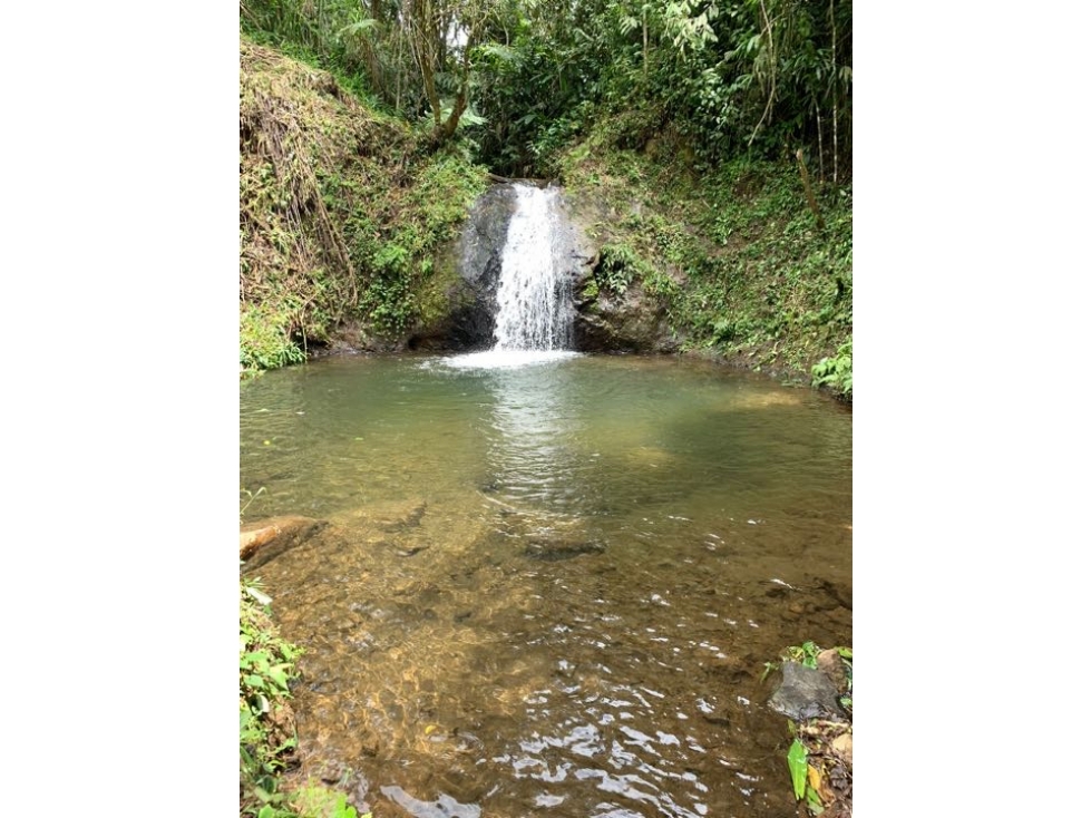 Se vende Finca en Finlandia Quindio