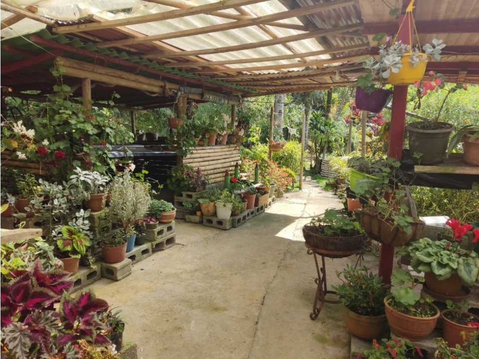 Se vende Finca en la Clara - Caldas Antioquia