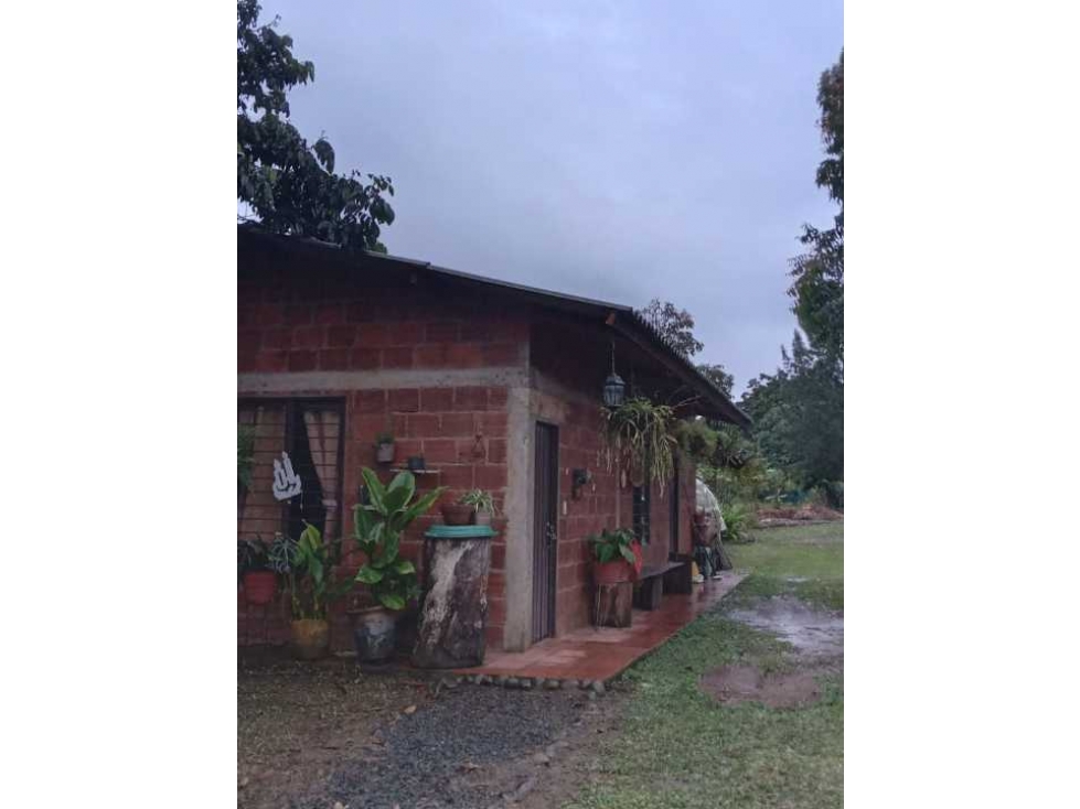 Se vende finca en San Antonio jamundí