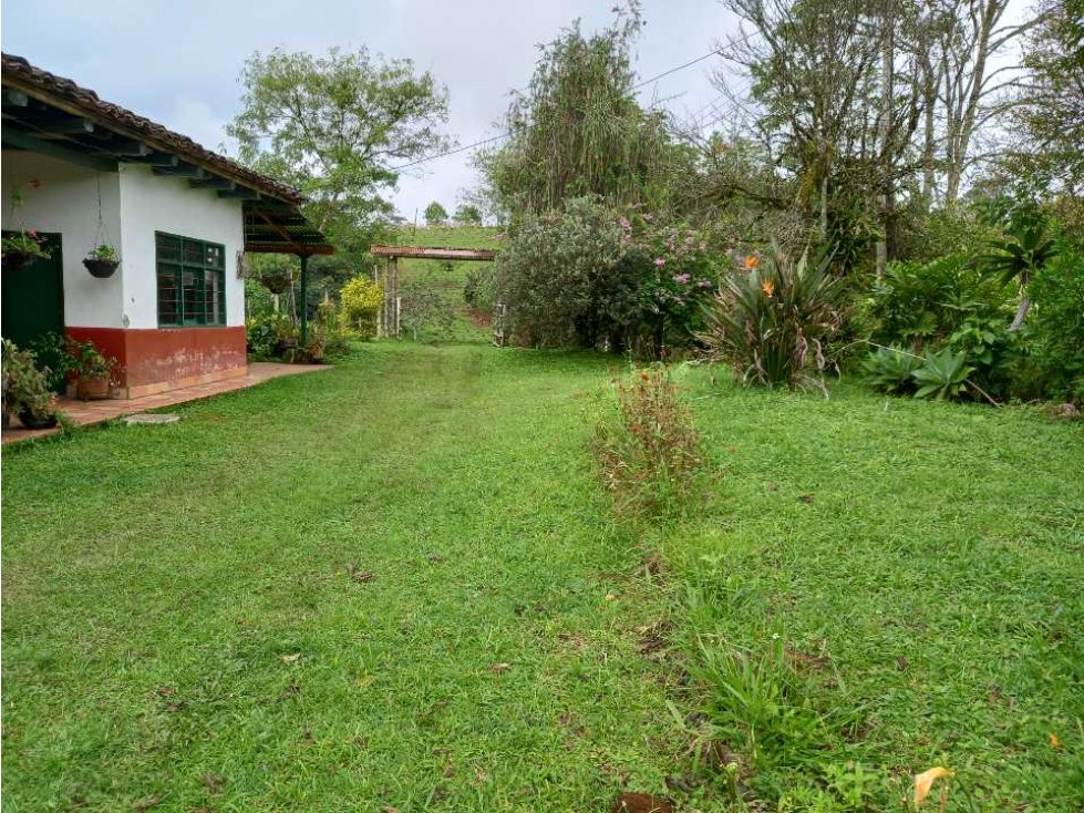 Se vende Finca en Timbio vereda cinco días.