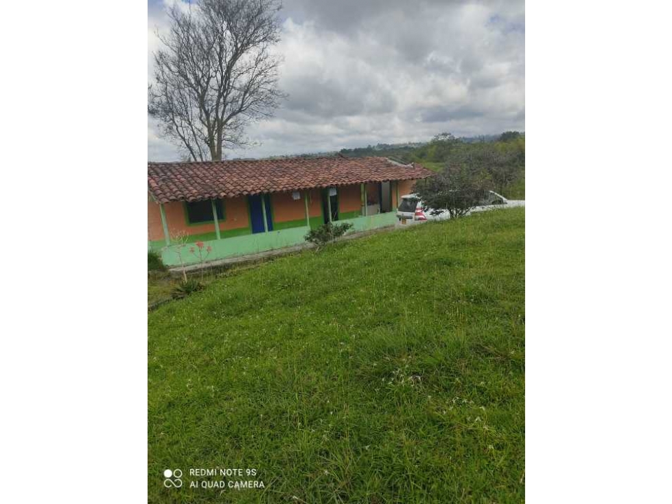 SE VENDE FINCA GANADERA EN FILANDIA QUINDÍO.