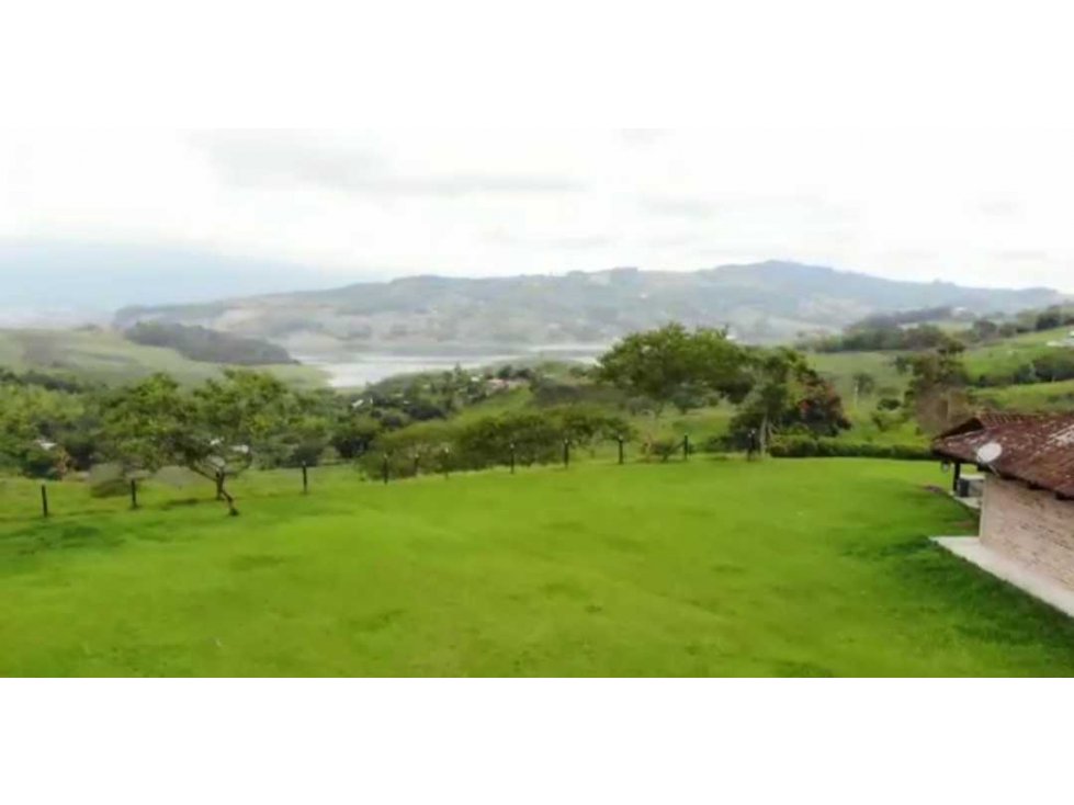 Se vende finca ganadera en yotoco sobre la vía principal