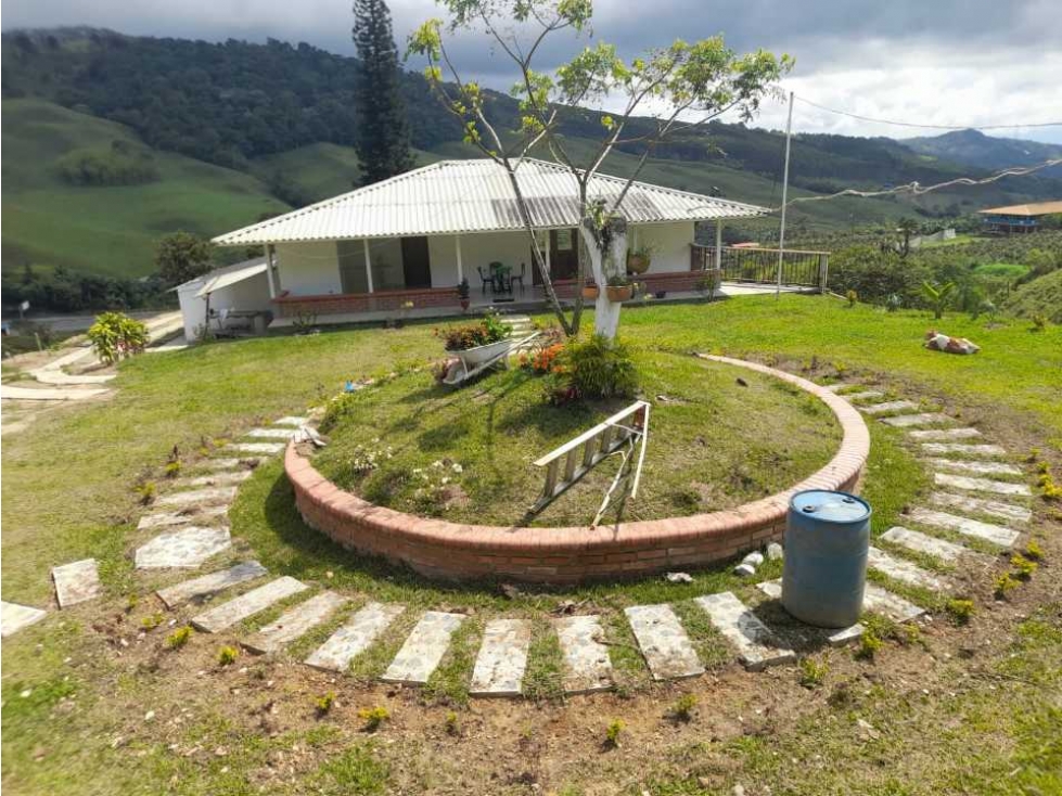 Se vende finca ganadera  sobre la vía lobo guerrero Buga