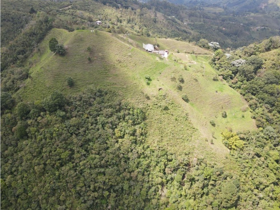 SE VENDE FINCA SEMIESTABULADA PARA GANADO DE LECHE