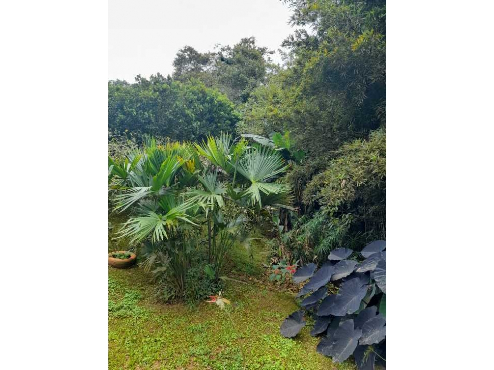 Se vende hermosa finca kilómetro 26 .