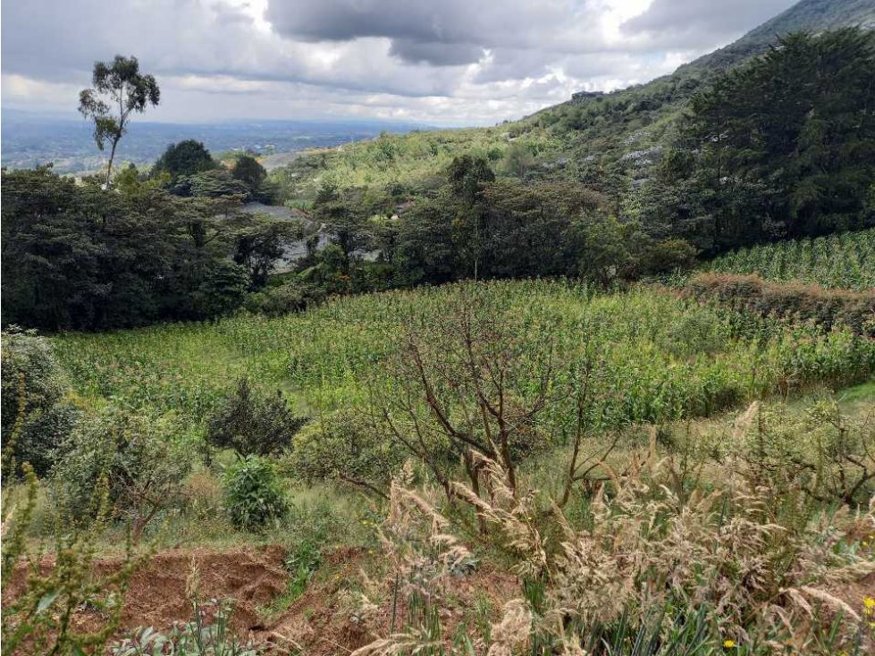 SE VENDE LOTE CON EXCELENTE VISTA LA VALLE DE SAN NICOLAS - CARMEN VIB